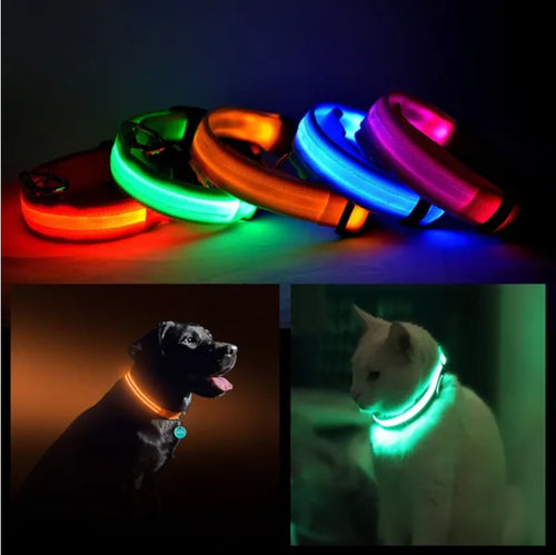 1482d986e3c2ee5f34e1c21c7970100e